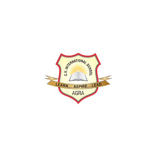 cv international school